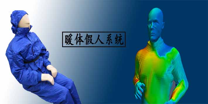 暖体假人